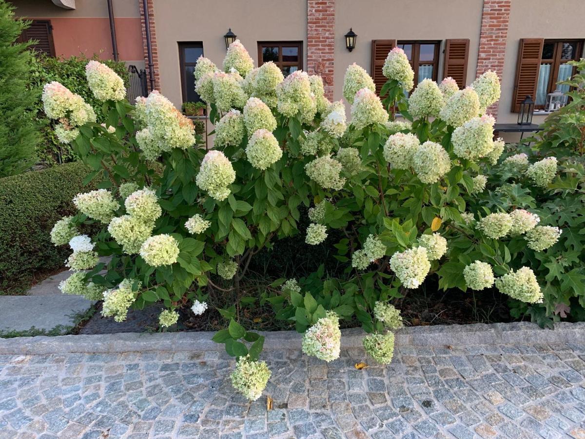Agriturismo Sarmore Salmore Dış mekan fotoğraf